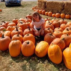 Meet your Posher, Alicia